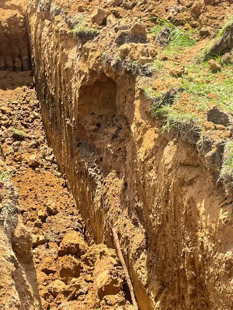 Pond construction progress — excavation and dam formation Mississippi